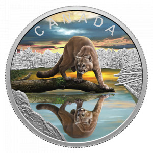 Stříbrná mince Wildlife refelctions - Puma 1 oz proof 2024