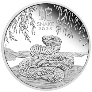 Stříbrná mince Rok Hada 1/2 oz proof 2025 Lunární série III